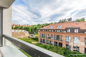 C-418_2020_pronajem_apartmany_Praha_Albertov_Rental_Apartments-14