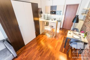 D-433_2020_pronajem_apartmany_Praha_Albertov_Rental_Apartments-05