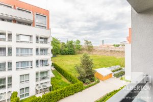 D-433_2020_pronajem_apartmany_Praha_Albertov_Rental_Apartments-15