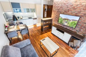 E-210_2020_pronajem_apartmany_Praha_Albertov_Rental_Apartments-04