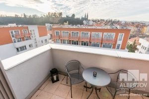 F3-741_2019_pronajem_apartmany_Praha_Albertov_Rental_Apartments-25