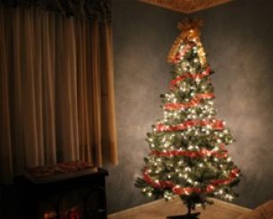 How to find, decorate, and recycle an ideal Christmas tree