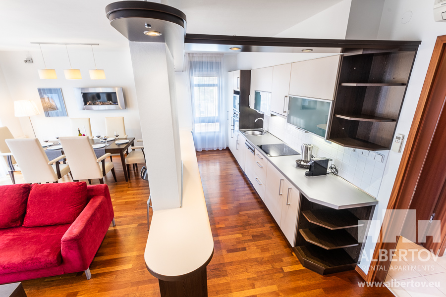 E-632_2021_pronajem_apartmany_Praha_Albertov_Rental_Apartments-06